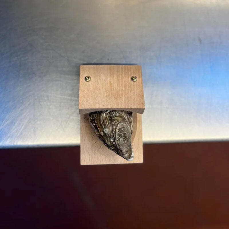 Premium østersåbnerklemme med træhåndtag