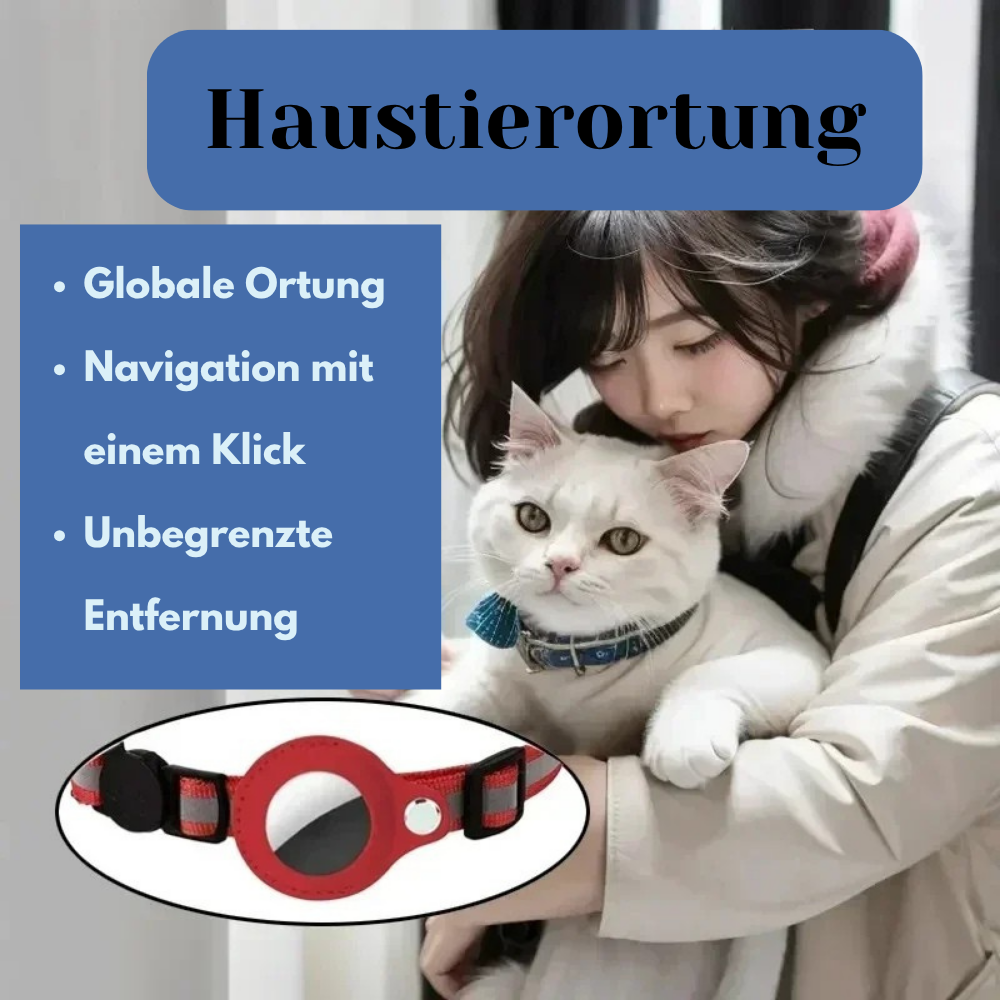 GPS-trackerhalsbånd til hund og kat - realtidsplacering