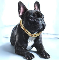 Guldkædehalsbånd til hunde