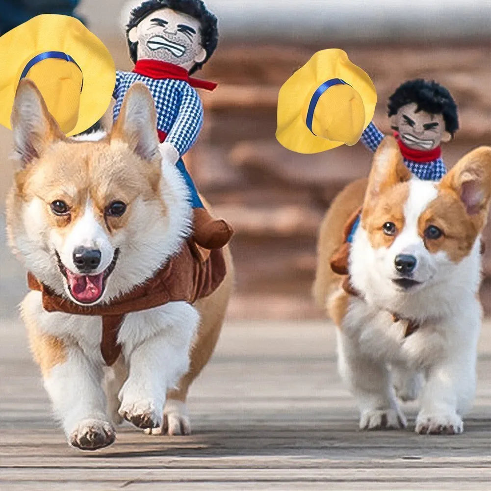 Halloween-kostume til din hund