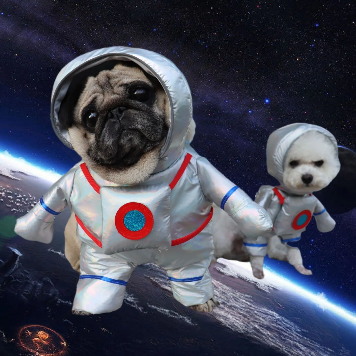 Halloween-kostume til din hund