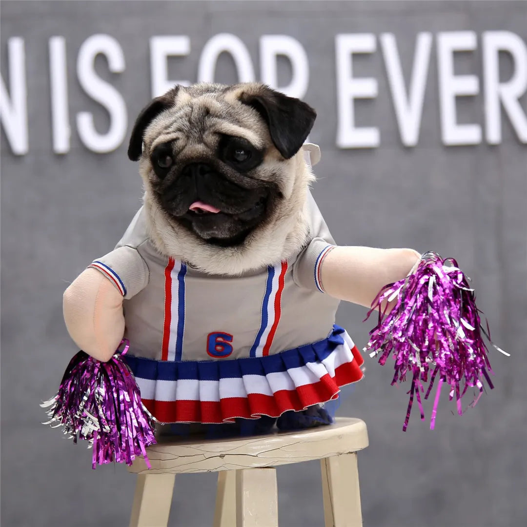 Halloween-kostume til din hund