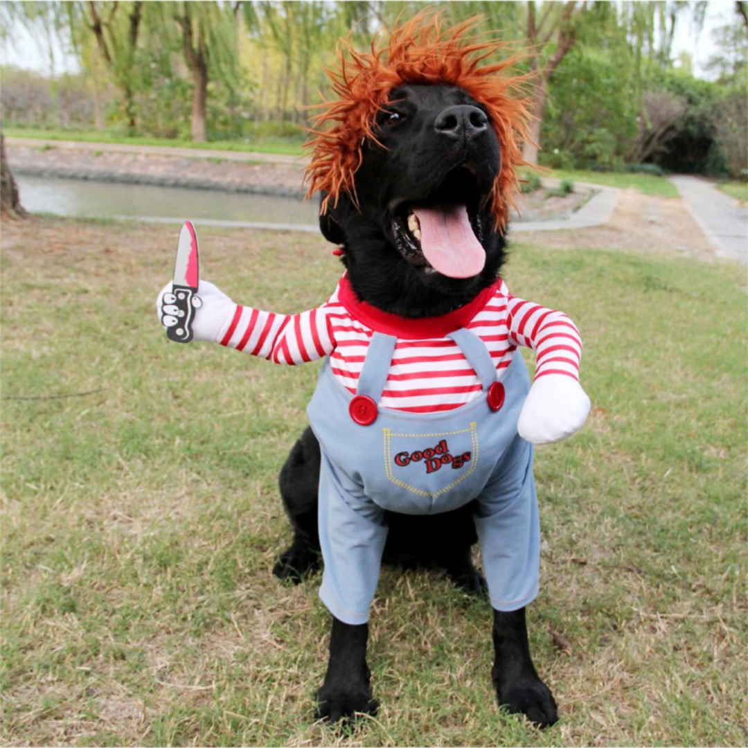 Halloween-kostume til din hund