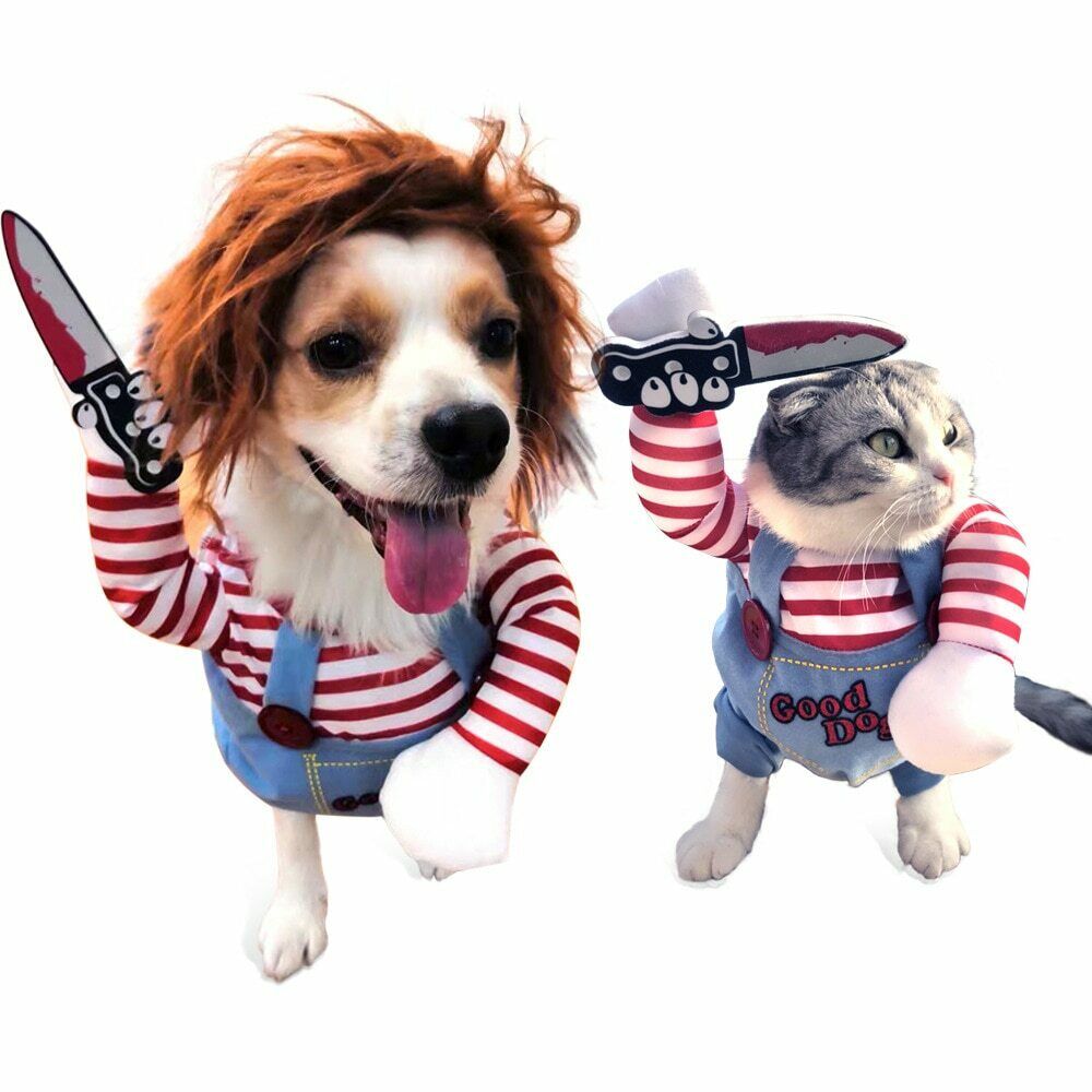 Halloween-kostume til din hund