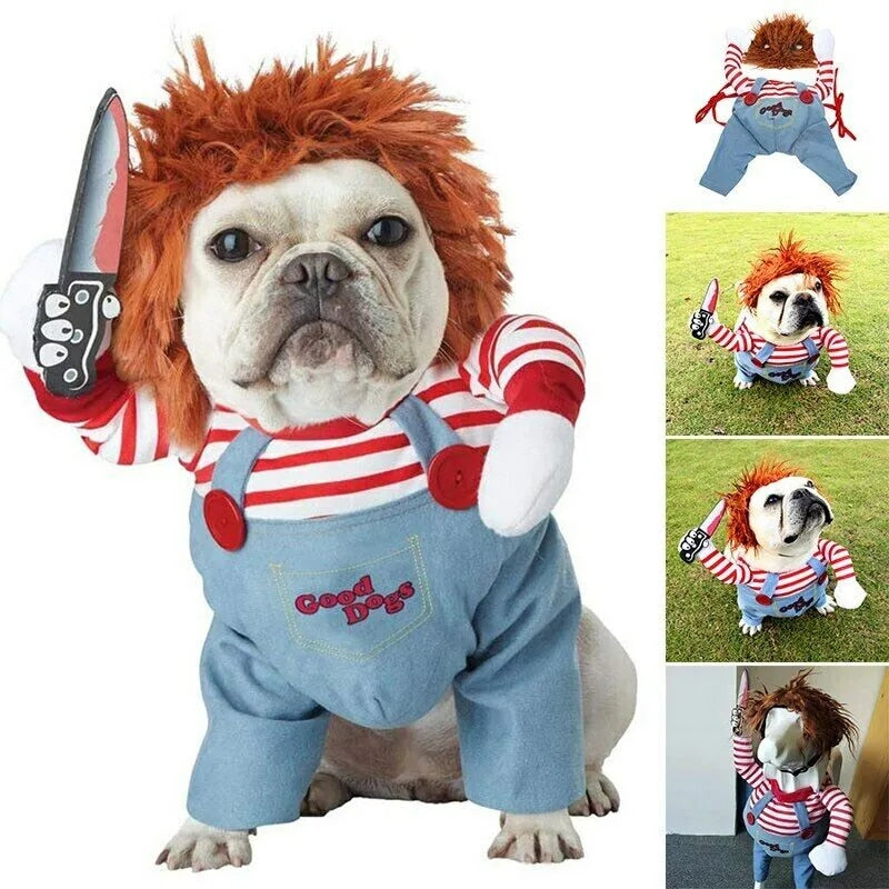 Kæledyr | Det sjoveste og uhyggeligste dyrekostume til halloween!