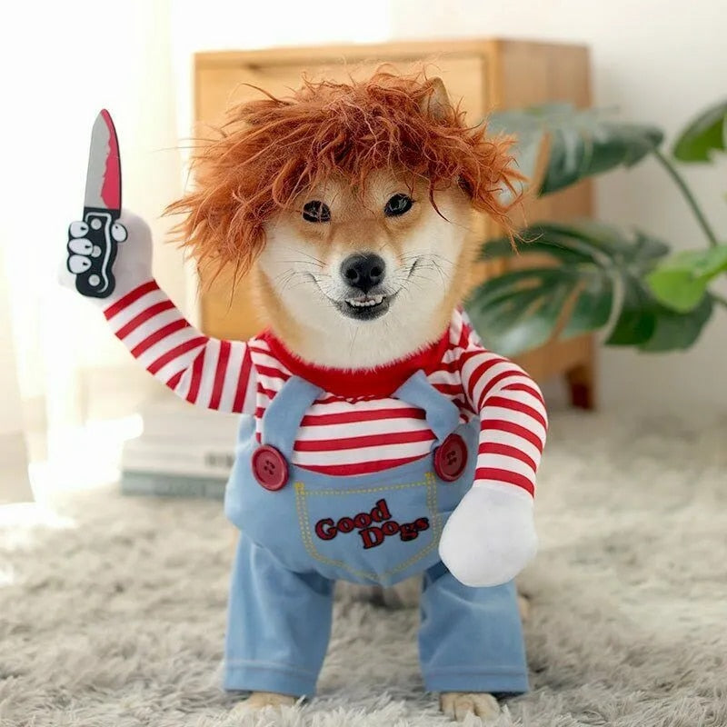 Kæledyr | Det sjoveste og uhyggeligste dyrekostume til halloween!