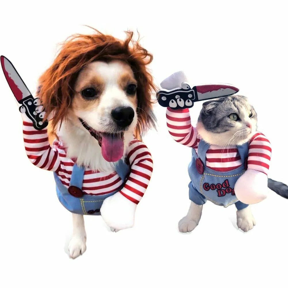 Kæledyr | Det sjoveste og uhyggeligste dyrekostume til halloween!