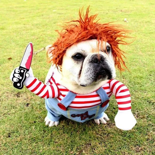 Kæledyr | Det sjoveste og uhyggeligste dyrekostume til halloween!