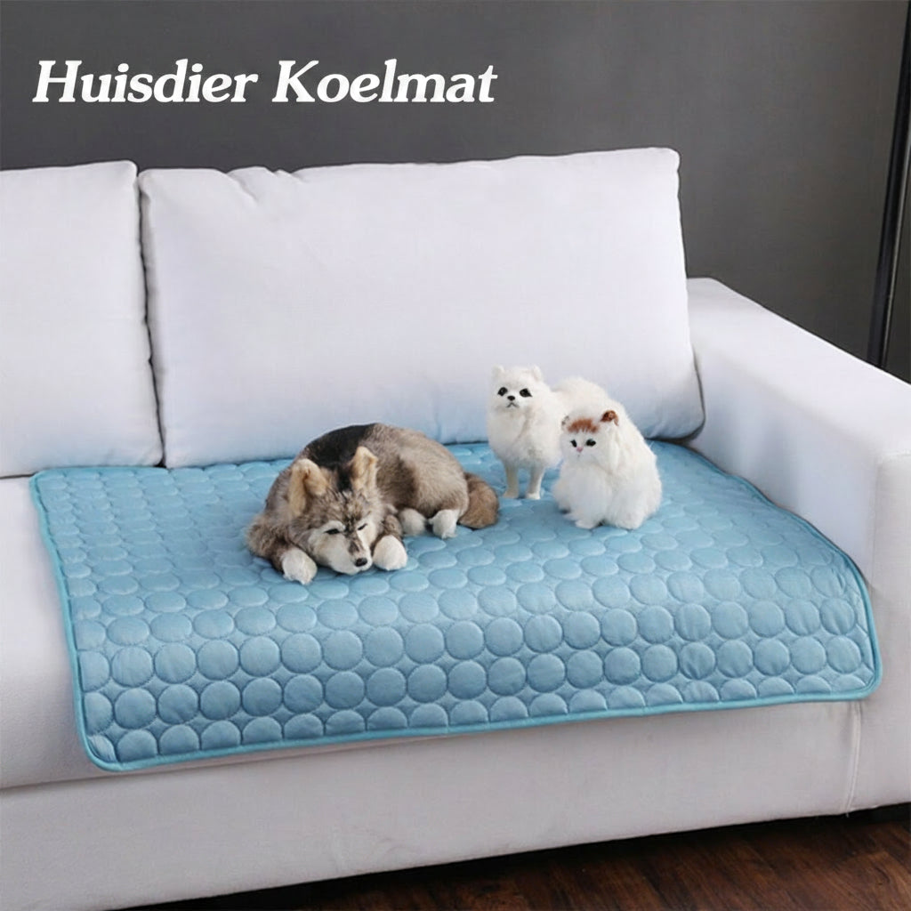 Kølemåtte i issilke til kæledyr (hund eller kat) om sommeren