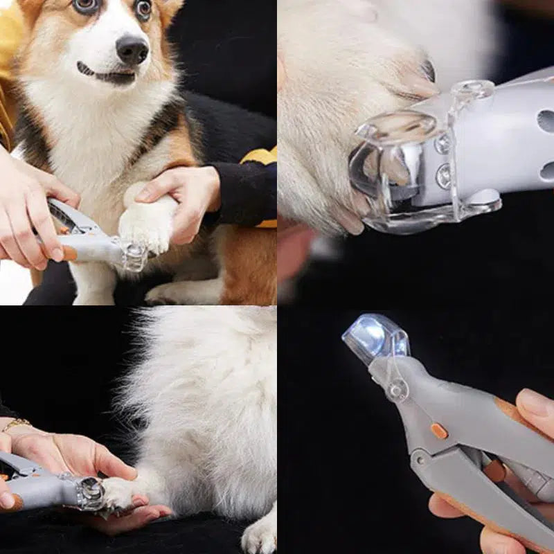Kloklipper til hunde med quick-sensorer