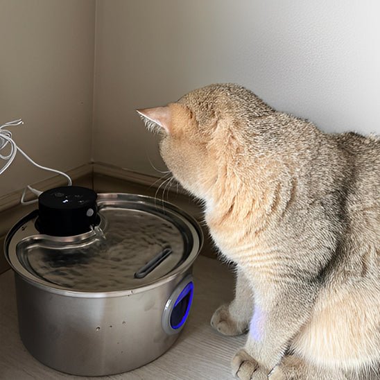 Ledningsfri vandfontæne til katte | batteridrevet hydrering