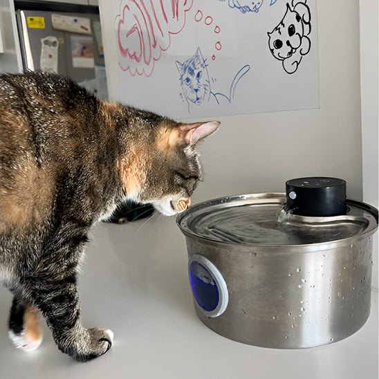 Ledningsfri vandfontæne til katte | batteridrevet hydrering