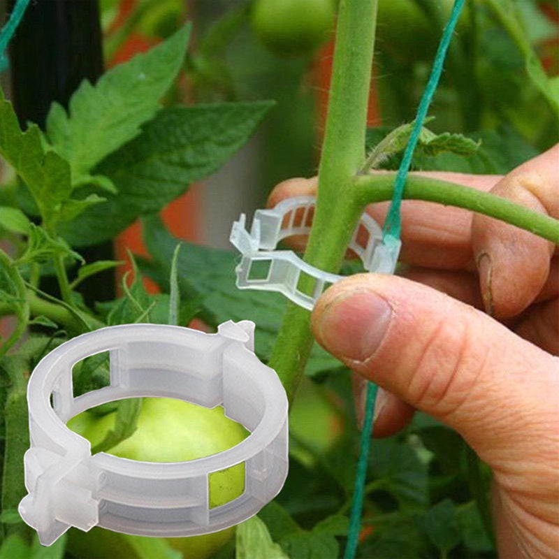 Plantestøtteklemmer i plast | 1 tomme indvendig diameter | Genanvendelige