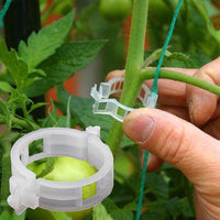 Plantestøtteklemmer i plast | 1 tomme indvendig diameter | Genanvendelige