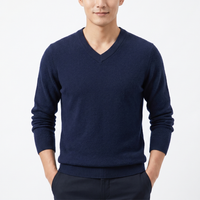 Pullover med V-hals
