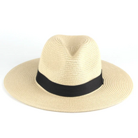 Stilfuld herrepanamahat til solen